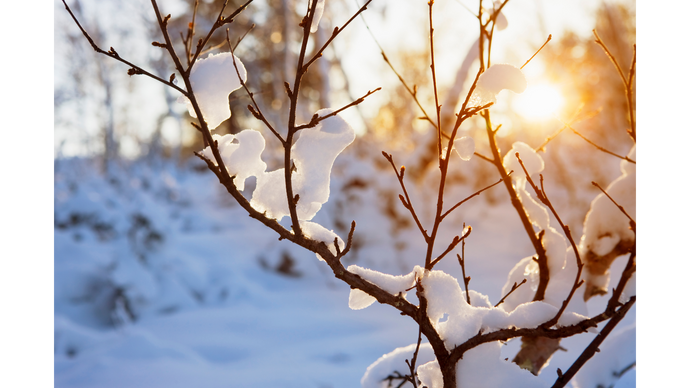 Winter Solstice - Rituals for every-day life