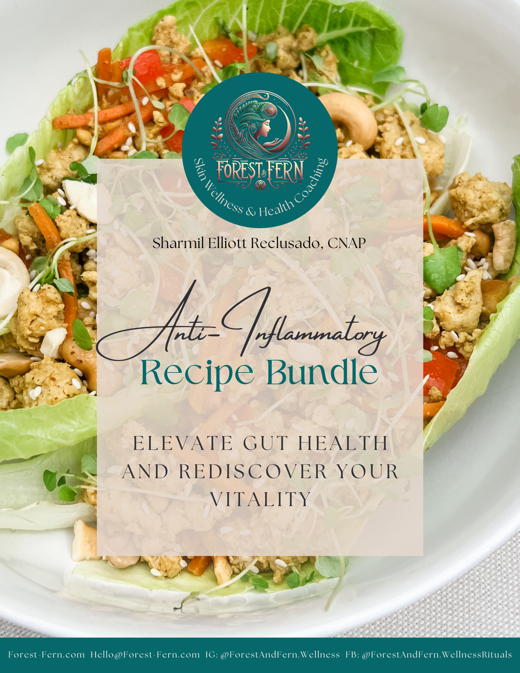 Anti-inflammatory Recipe Pack - 30 Recipes! + Bonus Guide